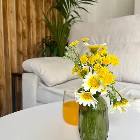 Loft La Gitanilla Córdoba