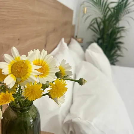 Loft La Gitanilla Daire Cordoba