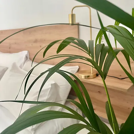 Loft La Gitanilla Apartman *
