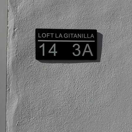 Daire Loft La Gitanilla
